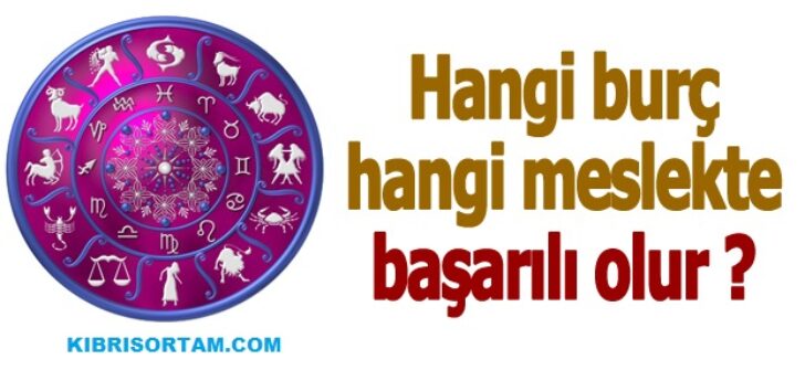 BURÇLARA GÖRE MESLEK SEÇİMİ