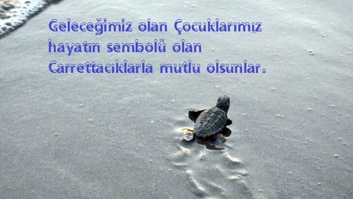 Caretta Deniz Kaplumbağalarını Korumak Elimizde