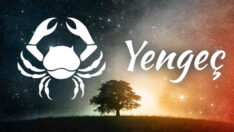 YENGEÇ Burcuna Göre Meslek Seçimi