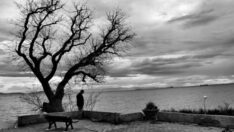 Selam Olsun Tüm Dostlara