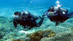 Kıbrıs’ta Su Altı Dalışı