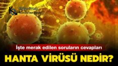 Coronavirüs’ten Sonra Şimdide Hanta Virüsü Paniği Korkuttu!